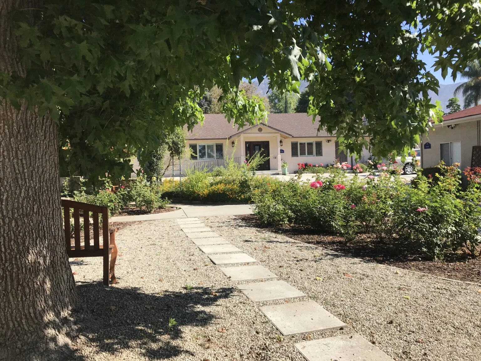 A shaded garden path and rose beds leading to a cottage at The British Home in Sierra Madre